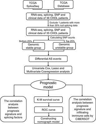 Identification of Mutator-Derived Alternative Splicing Signatures of Genomic Instability for Improving the Clinical Outcome of Cholangiocarcinoma